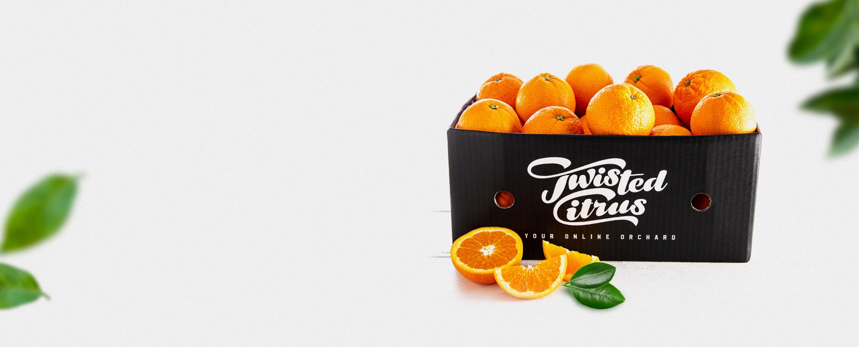 Twisted Citrus Twisted Citrus - Oranges Season - 1 - BG.jpg